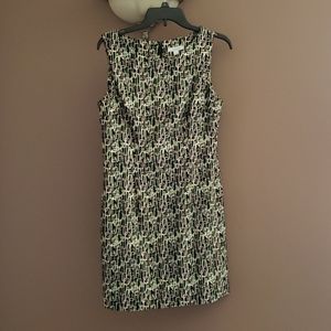 Ladies dress